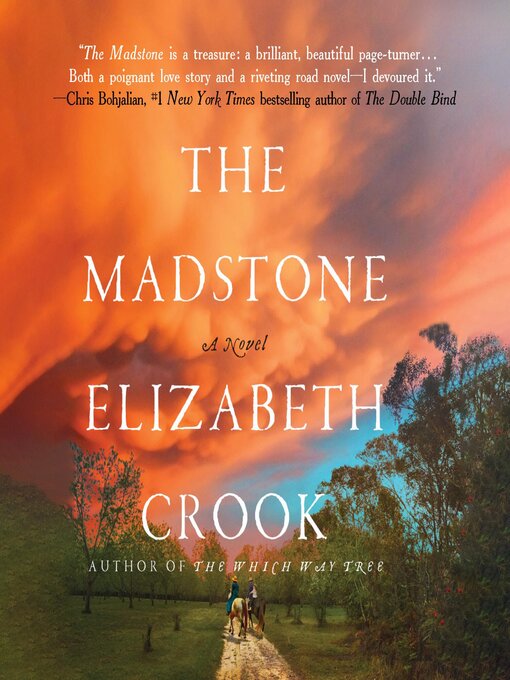 Title details for The Madstone by Elizabeth Crook - Available